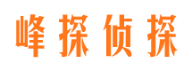 沈丘找人公司